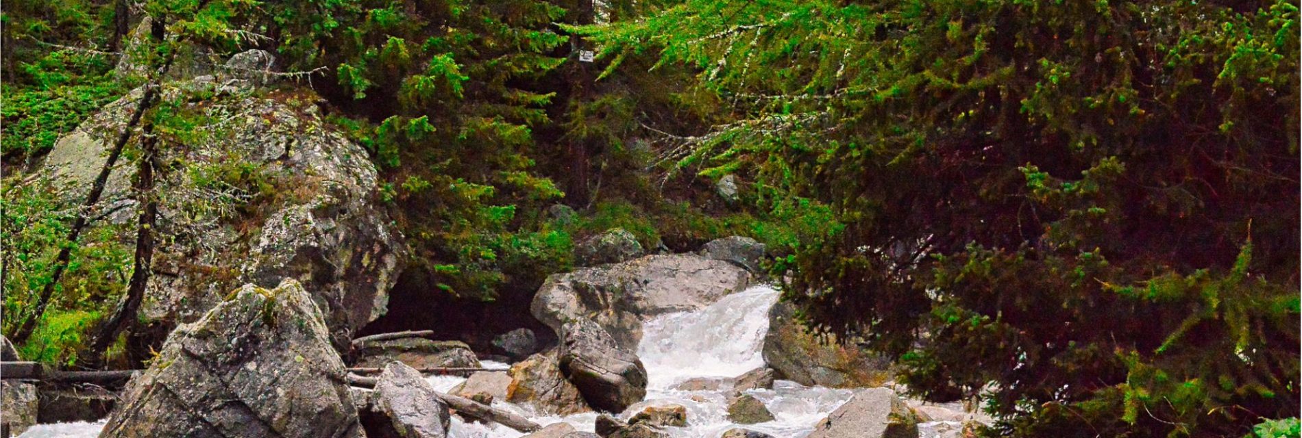 Résidence de tourisme 3*. Eau de sources en cascade dans les roches et traversant la forêt